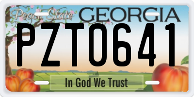 GA license plate PZT0641