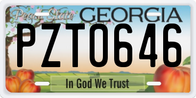 GA license plate PZT0646