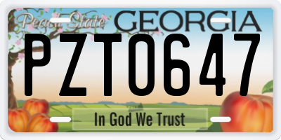 GA license plate PZT0647