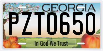 GA license plate PZT0650