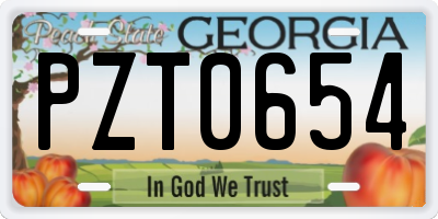 GA license plate PZT0654