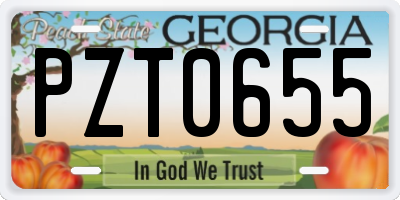 GA license plate PZT0655