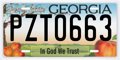 GA license plate PZT0663