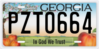 GA license plate PZT0664