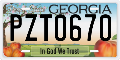 GA license plate PZT0670