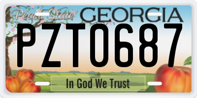 GA license plate PZT0687