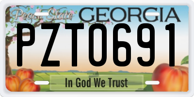 GA license plate PZT0691
