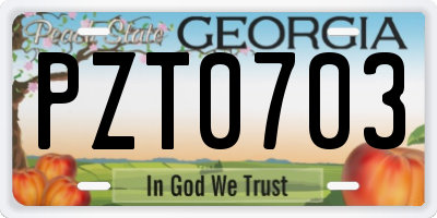 GA license plate PZT0703