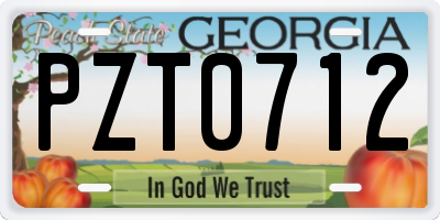 GA license plate PZT0712