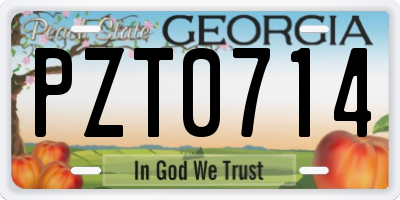 GA license plate PZT0714