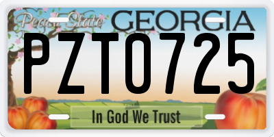 GA license plate PZT0725