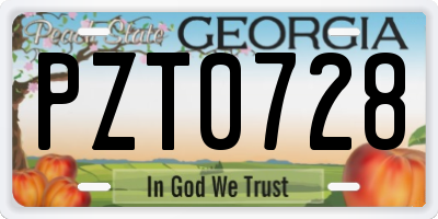 GA license plate PZT0728