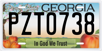 GA license plate PZT0738