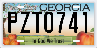 GA license plate PZT0741