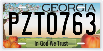 GA license plate PZT0763