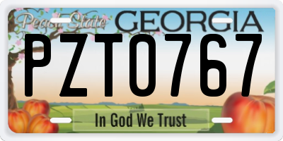 GA license plate PZT0767