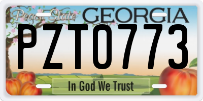 GA license plate PZT0773