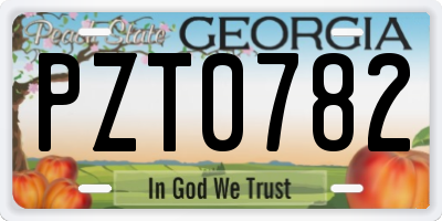 GA license plate PZT0782