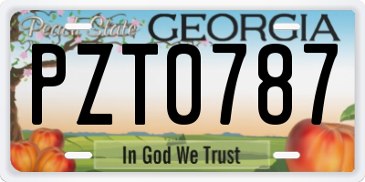 GA license plate PZT0787