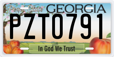 GA license plate PZT0791