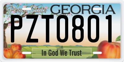 GA license plate PZT0801