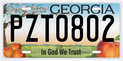 GA license plate PZT0802