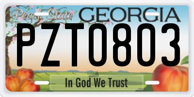 GA license plate PZT0803