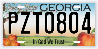 GA license plate PZT0804