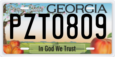 GA license plate PZT0809