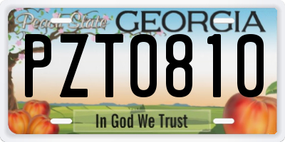 GA license plate PZT0810