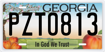 GA license plate PZT0813