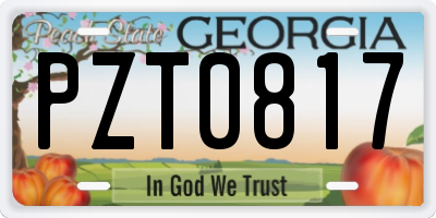 GA license plate PZT0817