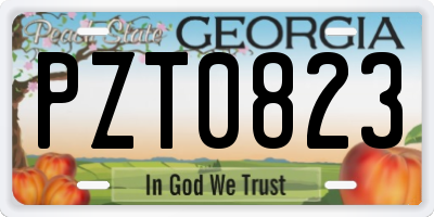 GA license plate PZT0823