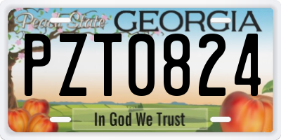 GA license plate PZT0824