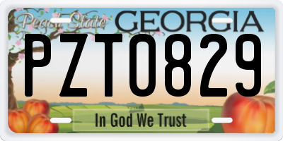 GA license plate PZT0829