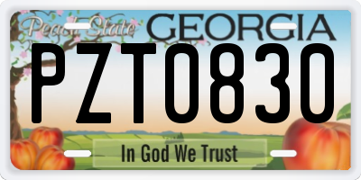 GA license plate PZT0830