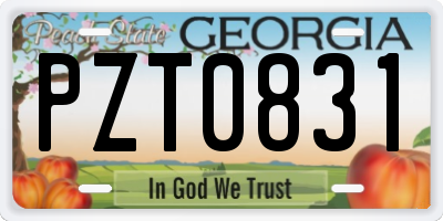 GA license plate PZT0831