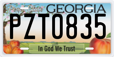 GA license plate PZT0835