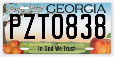 GA license plate PZT0838