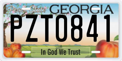 GA license plate PZT0841