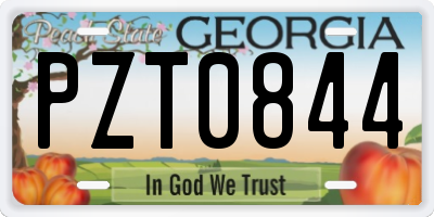 GA license plate PZT0844
