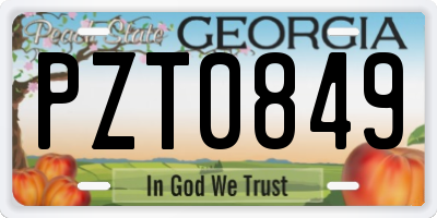 GA license plate PZT0849