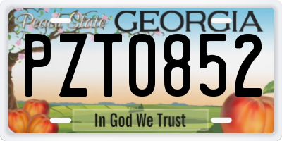 GA license plate PZT0852