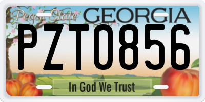 GA license plate PZT0856