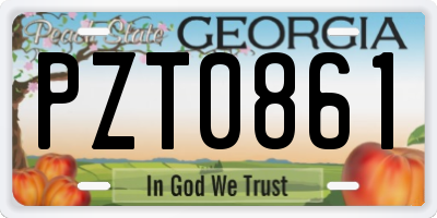 GA license plate PZT0861
