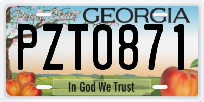GA license plate PZT0871