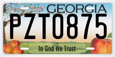 GA license plate PZT0875