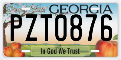 GA license plate PZT0876