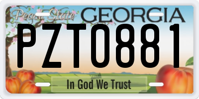 GA license plate PZT0881