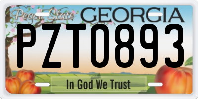 GA license plate PZT0893